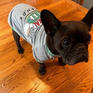 Gray Dog T-Shirt with Green Accents